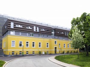 vetmeduni Vienna Messerli