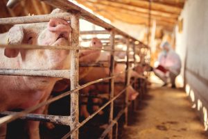 120923143_2690143687908218_7247730092109840937_n