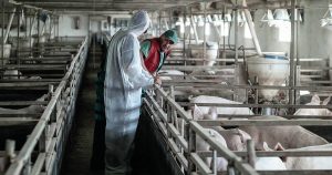 122446023_2705536279702292_855499859115254570_n