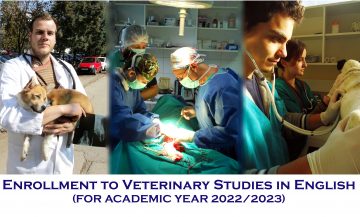 Enrollment to Veterinary Studies in English