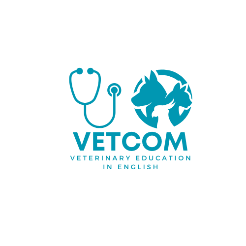 УСПЕШНО ЗАВРШЕНА ОБУКА ЗА ПОЗНАВАЊЕ НА АНГЛИСКИ ЈАЗИК ВО РАМКИТЕ НА VETCOM  ПРОЕКТОТ